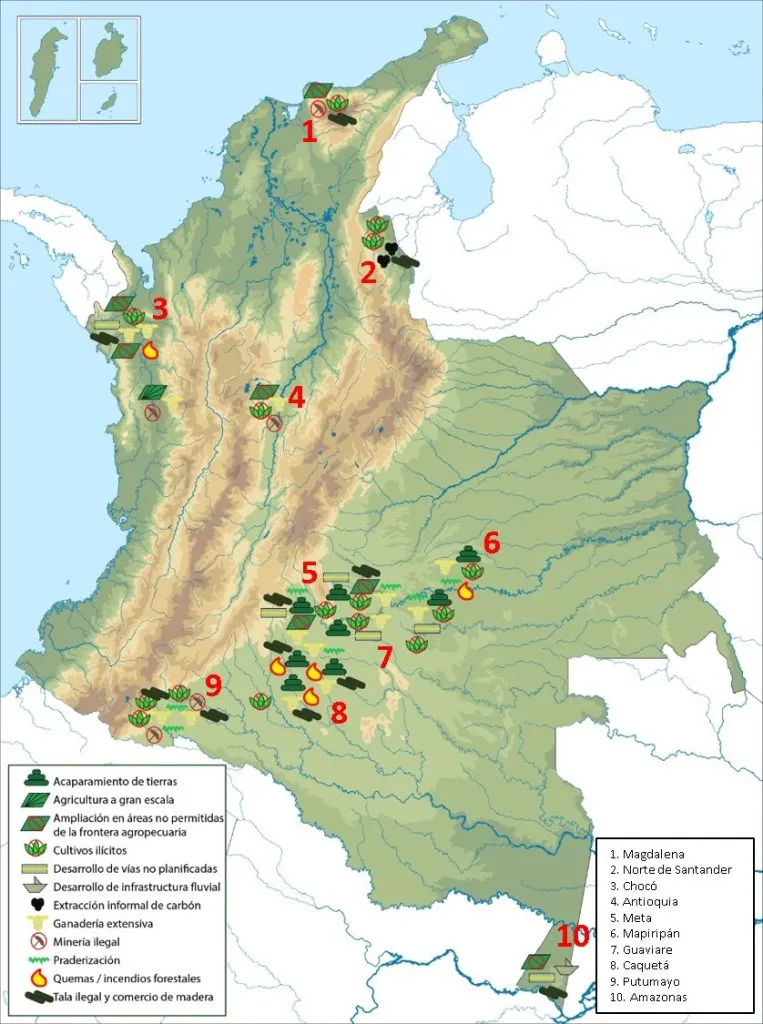 word image 3805 7 SalvaBosques Colombia