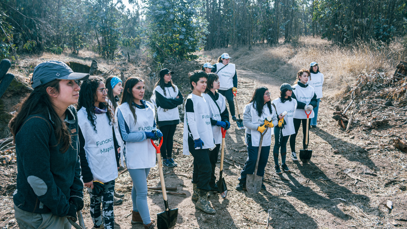 voluntarios en reforestación